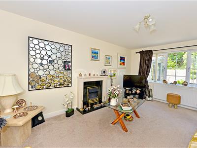 Picture 11